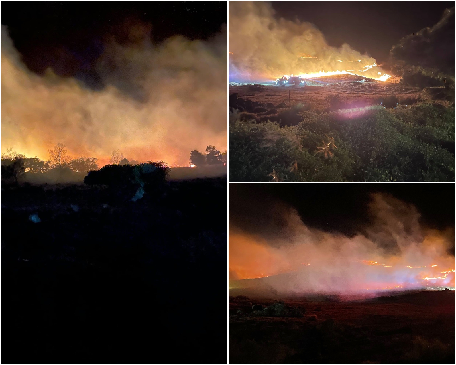 Incendii în Hawaii. Aproape 100 de decese confirmate / Peste 2000 de clădiri au fost rase de pe fața Pământului