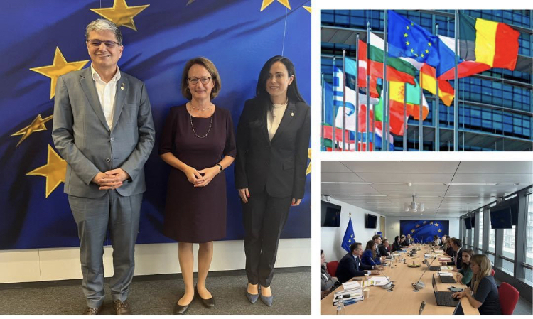 Reformele nu sunt o necesitate, ci o oportunitate