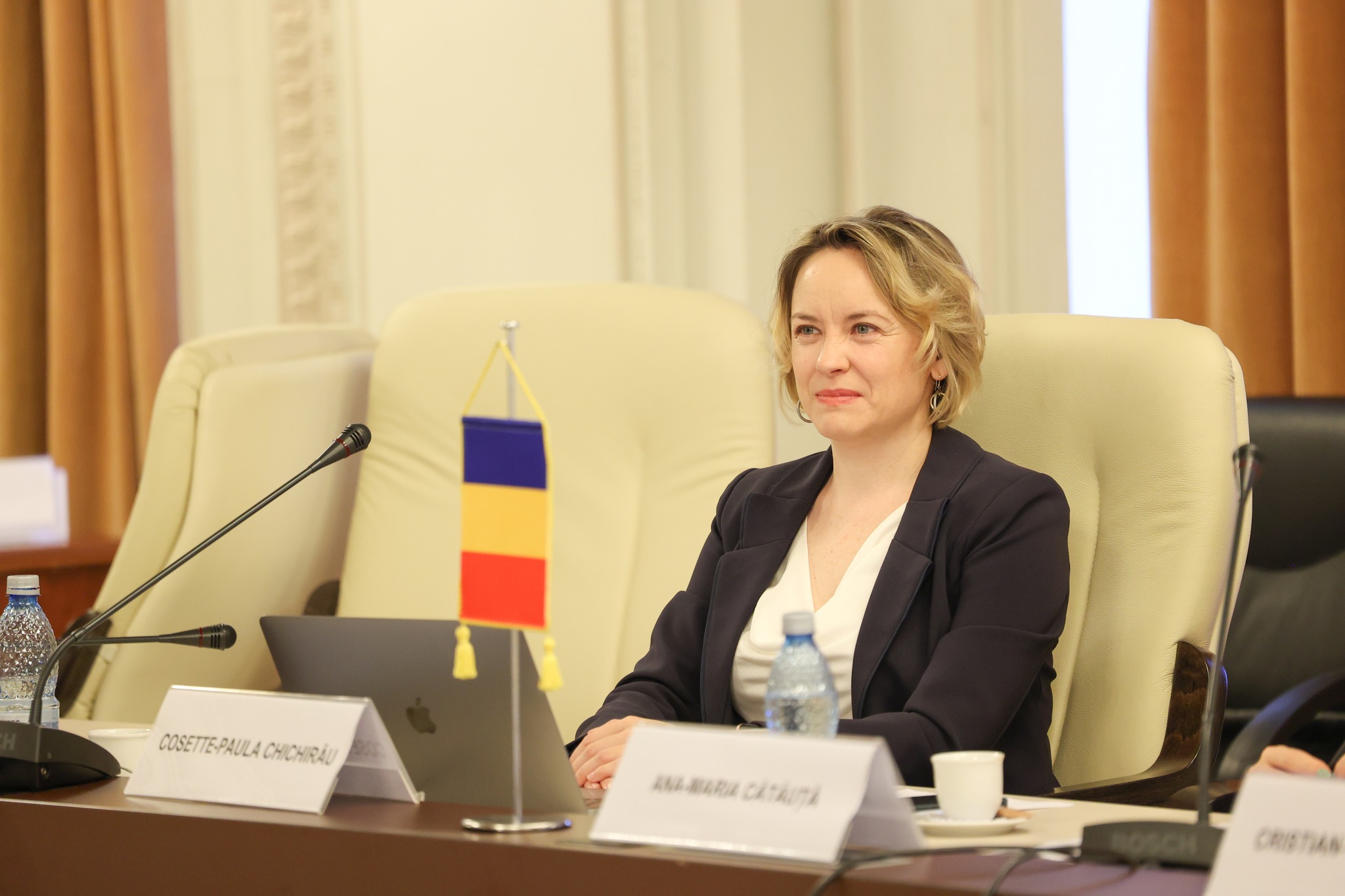 Cosette Chichirău înființează Partidul „Curaj pentru România”
