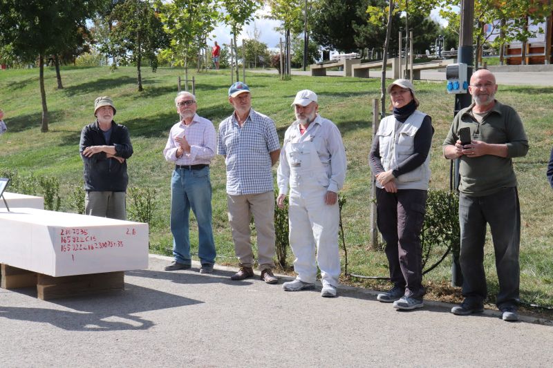 CJ Ilfov organizează o tabără de sculptură monumentală în Parcul dintre Flori din Buftea