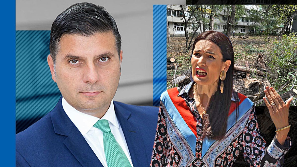 TAIFUNUL ”Clotilde Armand” | Fost ministru al Economiei, despre toaletarea copacilor din Sectorul 1: ”Efectul devastator al unui management bezmetic”