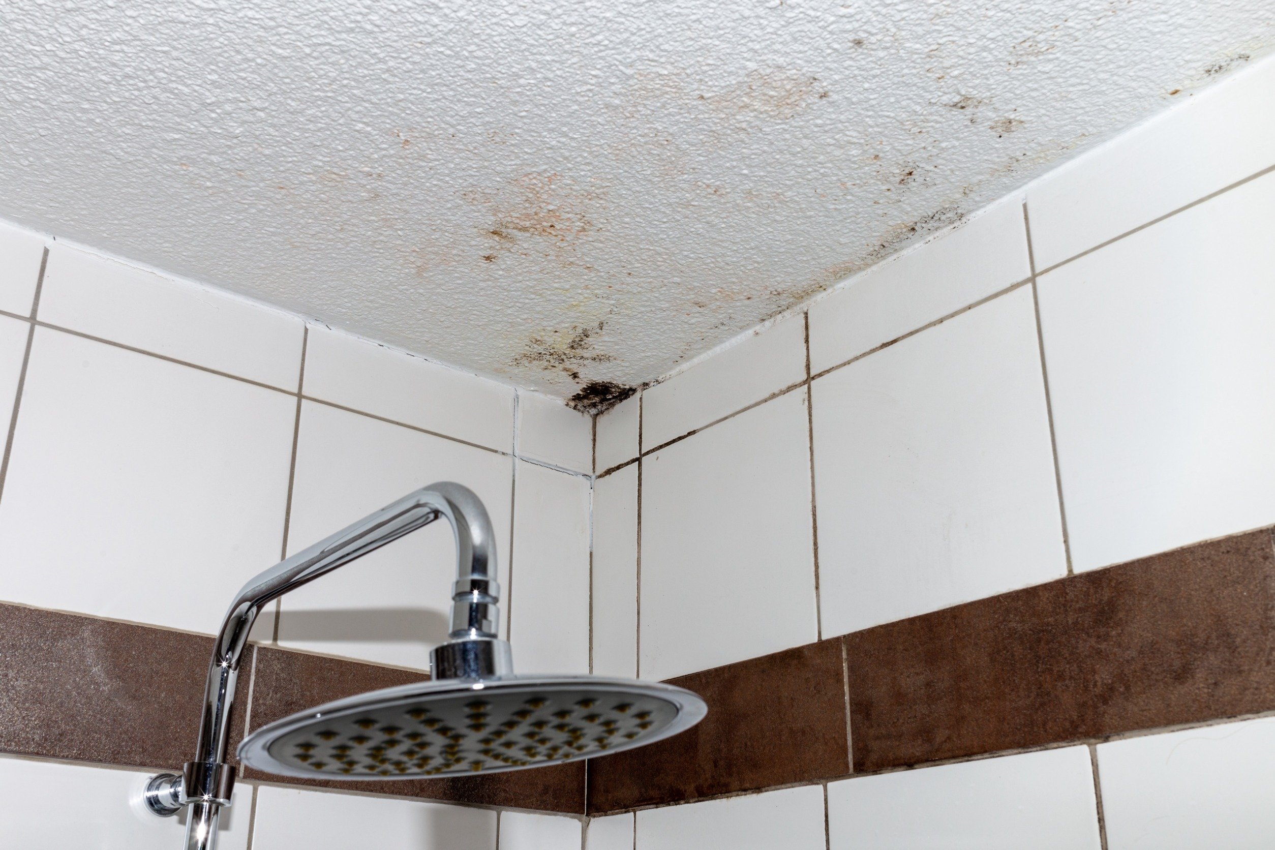 Cum Să îndepărtezi Mucegaiul Din Baie