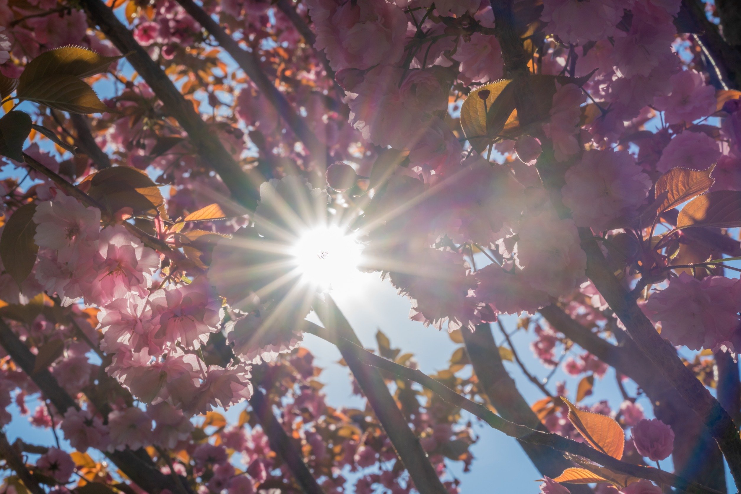 Când Are Loc Echinocțiul De Primăvară în 2024