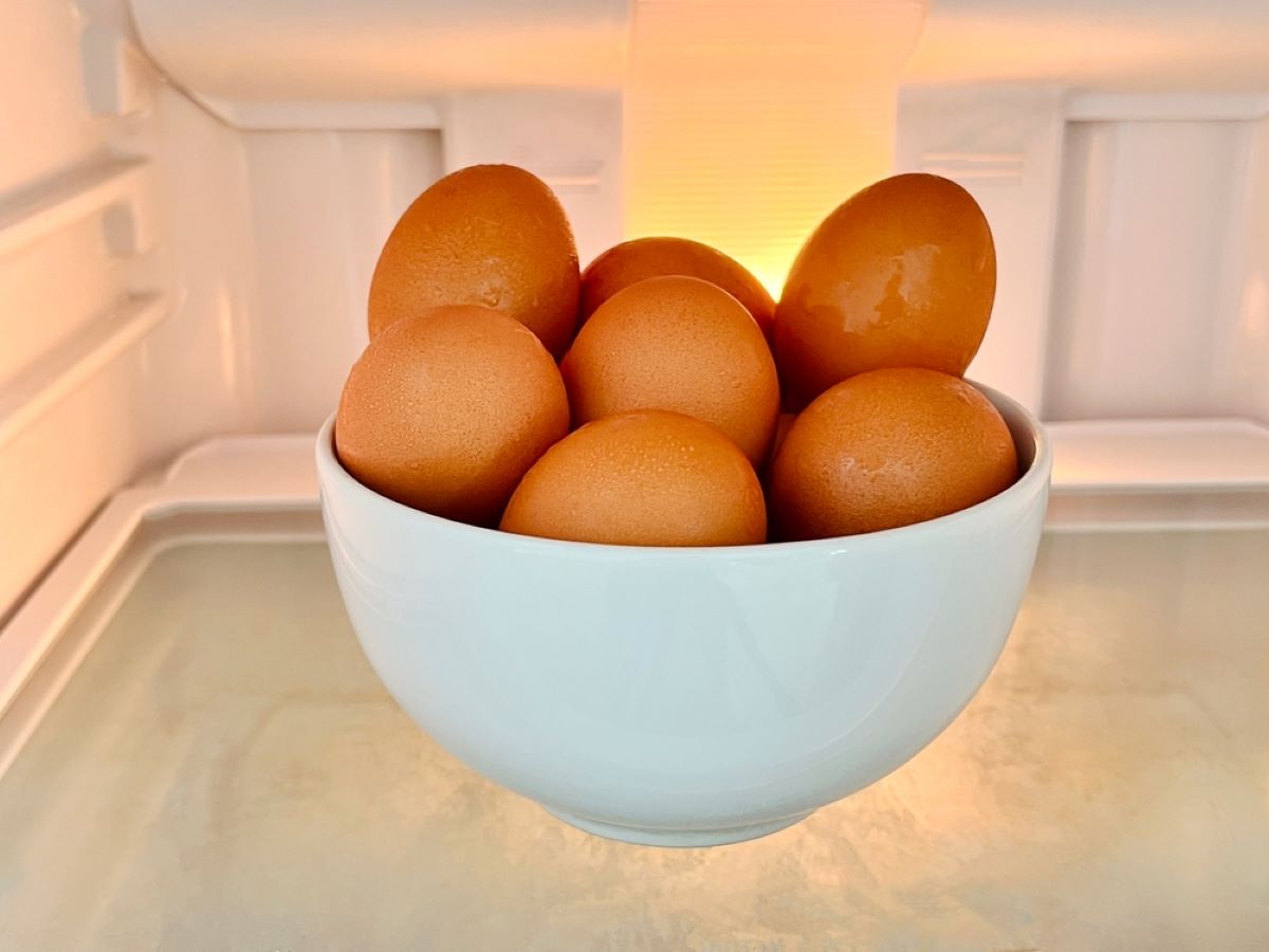 Cât Timp Rezistă Ouăle Fierte în Frigider Fără Să Se Strice Cât Timp Rezistă Ouăle Fierte în Frigider Fără Să Se Strice