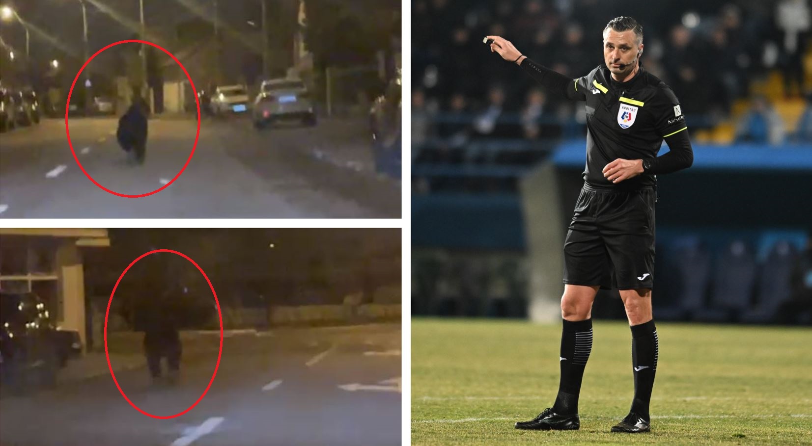 Ursul i-a ieșit arbitrului român chiar în fața mașinii, pe străzile din Ploiești! Ursul i-a ieșit arbitrului român chiar în fața mașinii, pe străzile din Ploiești!