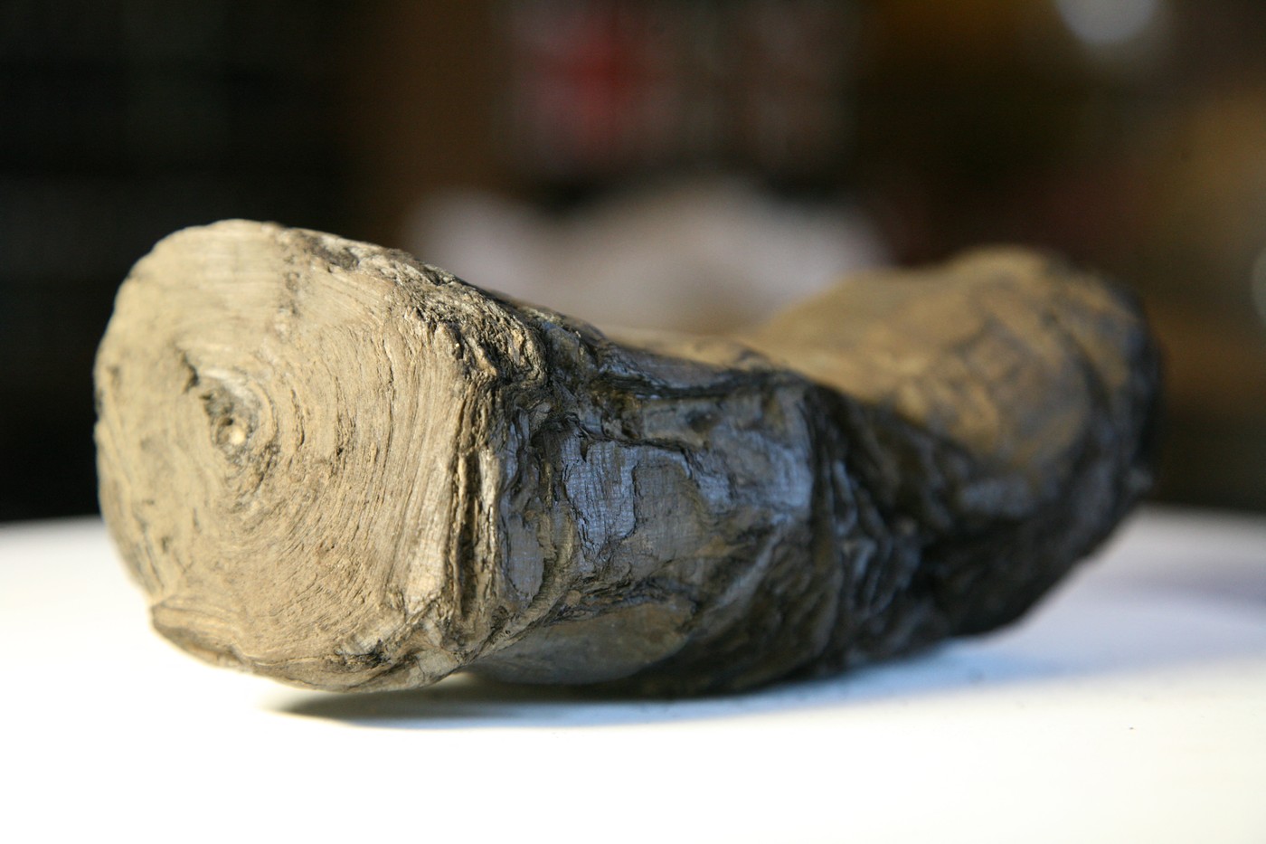 Mesajele unor pergamente din Pompeii, descifrate după 2.000 de ani, prin utilizarea sistemelor de inteligență artificială