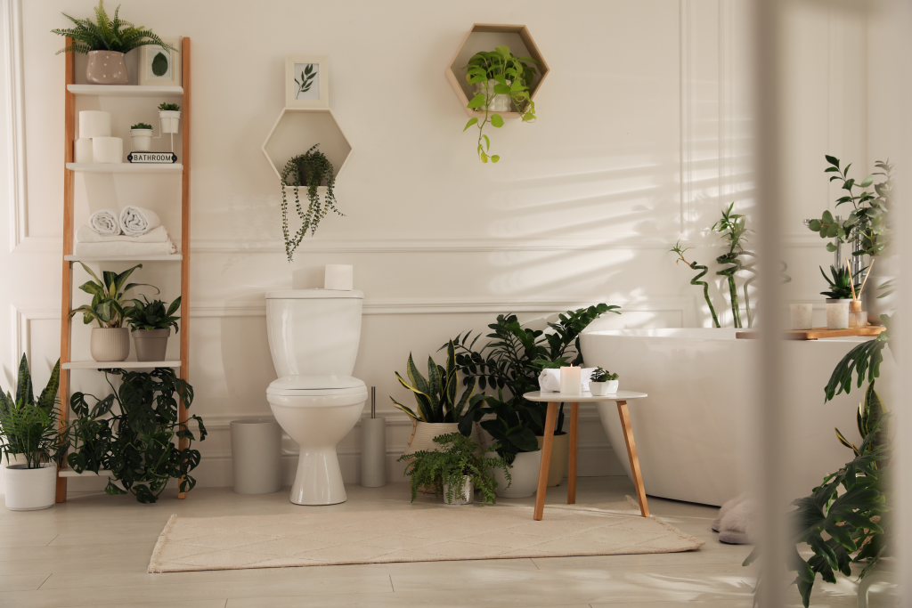Plante De Apartament Care Se Potrivesc în Baie
