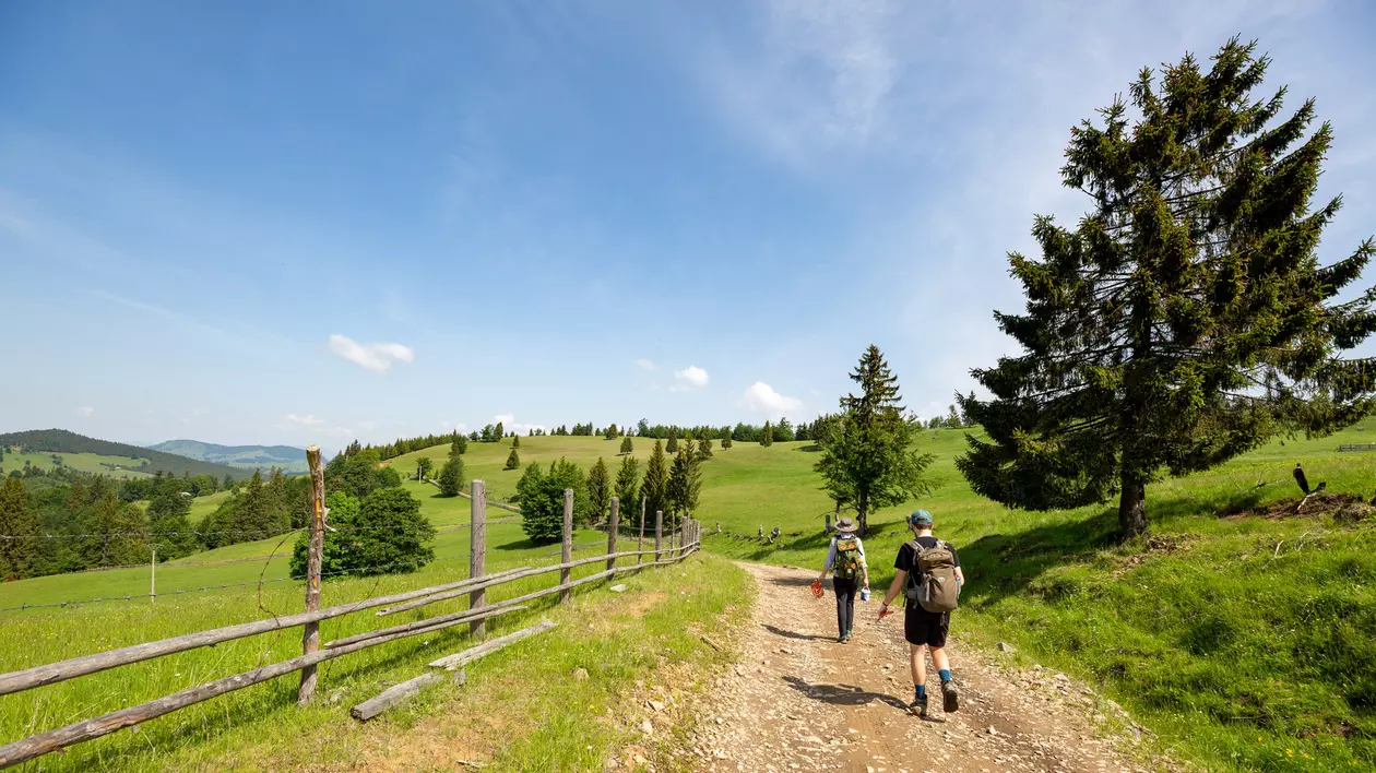 Via Transilvanica, Inclusă De Revista Time în Top 100 Locuri De Vizitat în 2024. „Un Farmec Sălbatic Transilvănean”