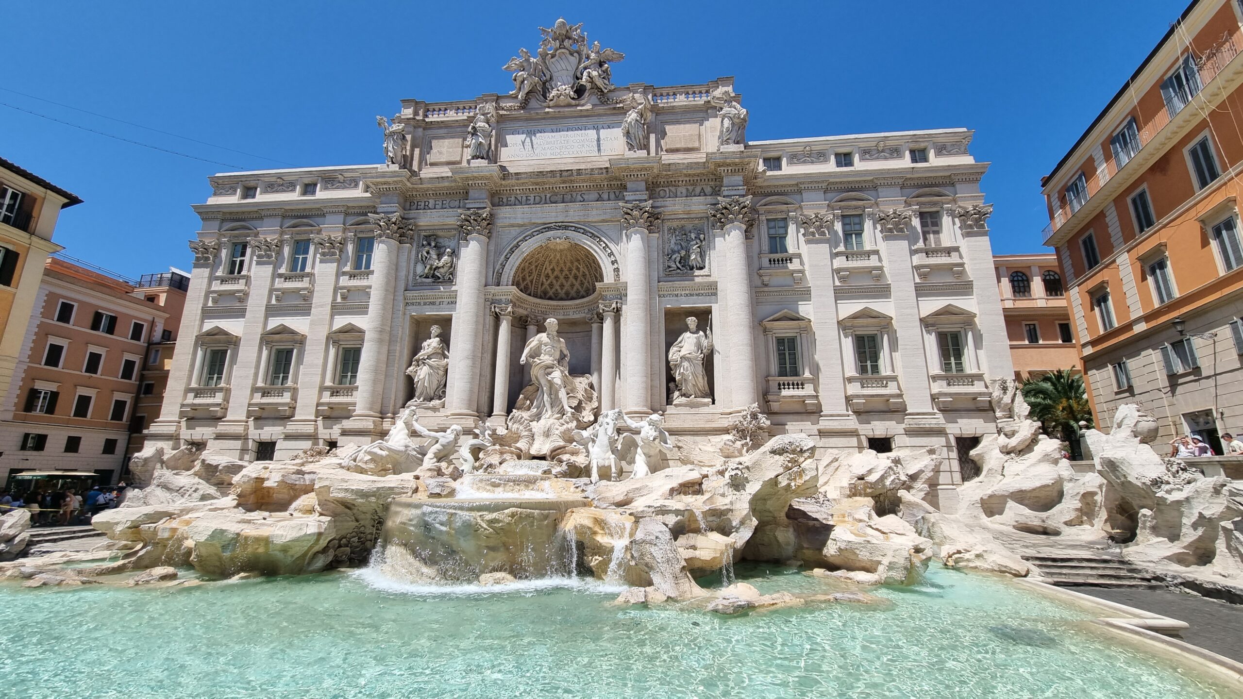 Roma este invadată de șobolani, viespi orientale și șerpi:”Populaţia de şerpi a crescut „