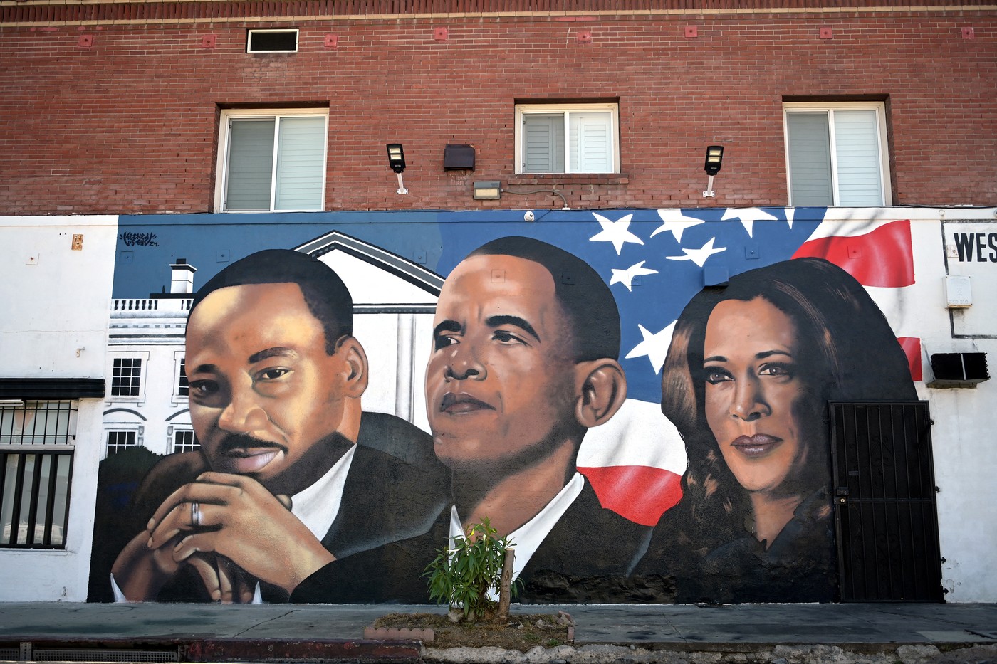 Kamala Harris obține nominalizarea de la Partidul Democrat
