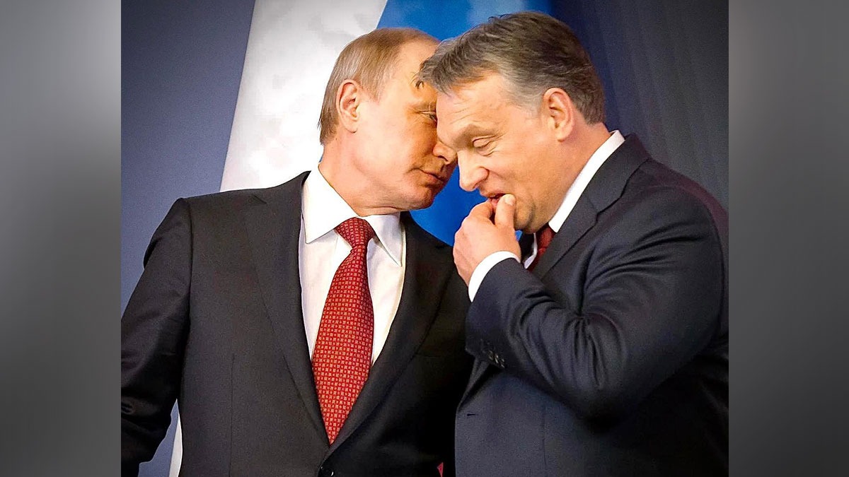 SUA taxează aplecarea lui Viktor Orban spre Rusia. Premierul Ungariei, criticat pentru discursul de la Tușnad în care se gudură la Putin SUA taxează aplecarea lui Viktor Orban spre Rusia. Premierul Ungariei, criticat pentru discursul de la Tușnad în care se gudură la Putin