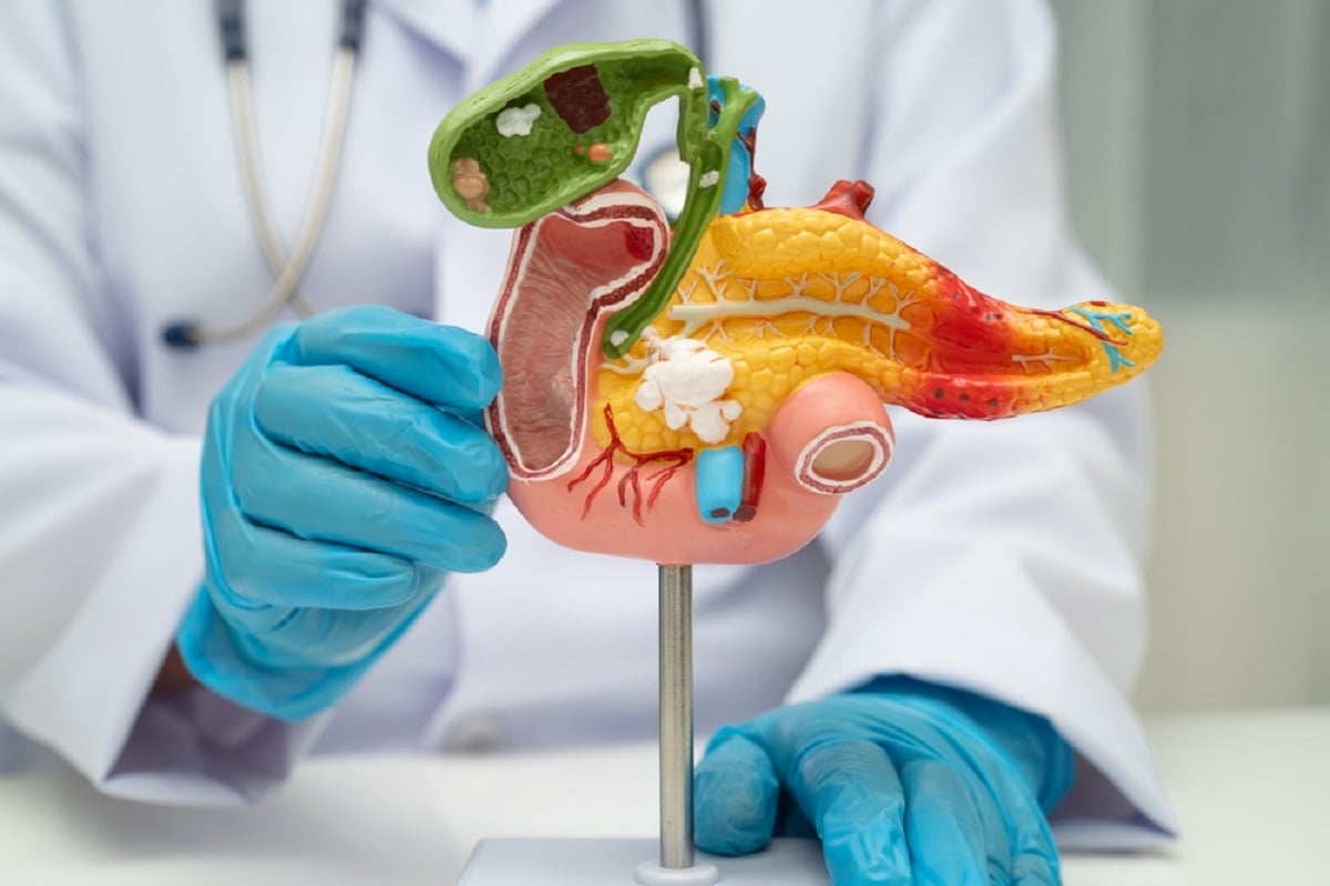 Ce este pancreasul și ce rol are în organism Ce este pancreasul și ce rol are în organism