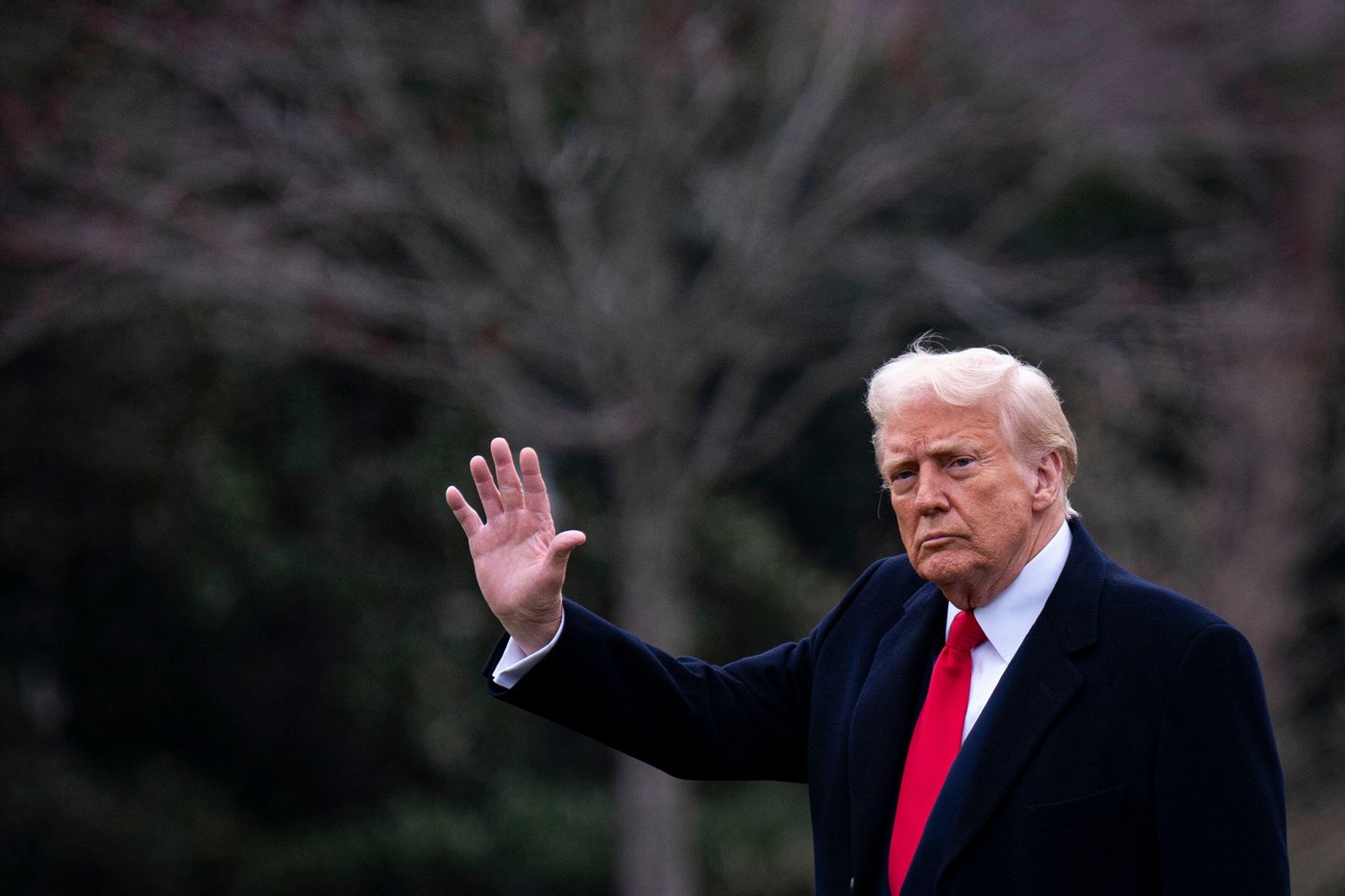 Donald Trump, întrebat cum comentează creșterea prețurilor la mașini, după taxele impuse pe importurile din UE: „Nu-mi pasă deloc!” Donald Trump, întrebat cum comentează creșterea prețurilor la mașini, după taxele impuse pe importurile din UE: „Nu-mi pasă deloc!”