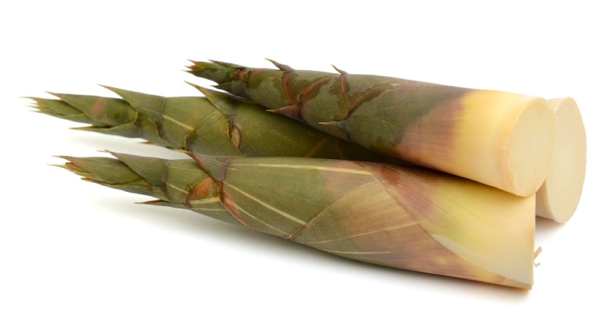 Muguri de bambus – beneficii, utilizare, preparare, rețete