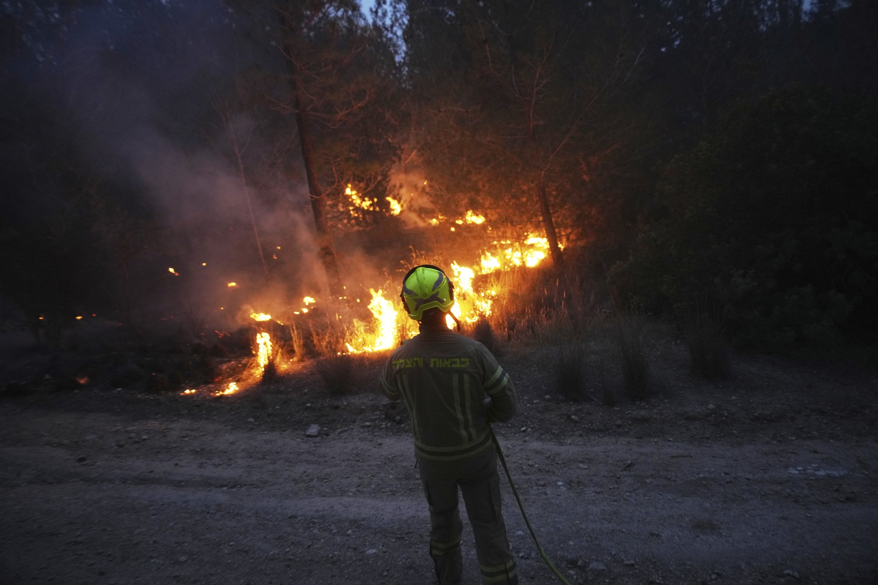 INCENDII puternice de vegetație în apropiere de Ierusalim. Autoritățile intervin pentru a stinge flăcările/România și alte țări ajută Israelul