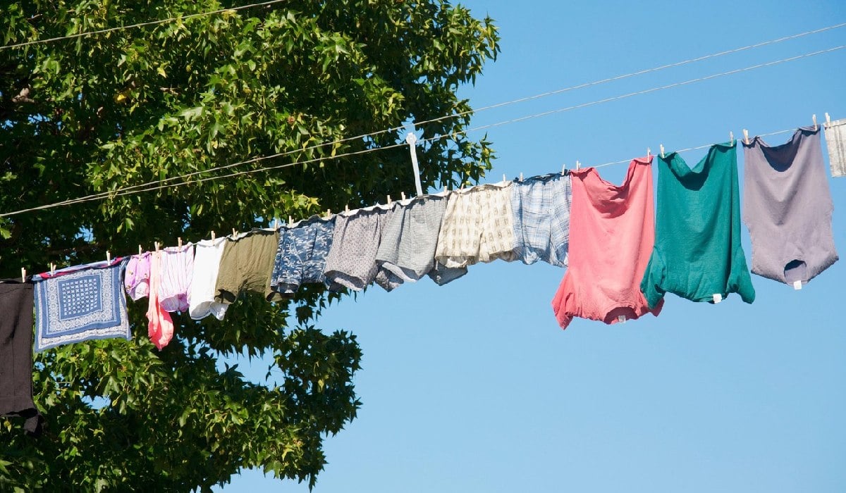 Motivul surprinzător pentru care nu ar trebui să ne uscăm hainele afară vara: „Rețetă pentru mâncărimi” Motivul surprinzător pentru care nu ar trebui să ne uscăm hainele afară vara: „Rețetă pentru mâncărimi”