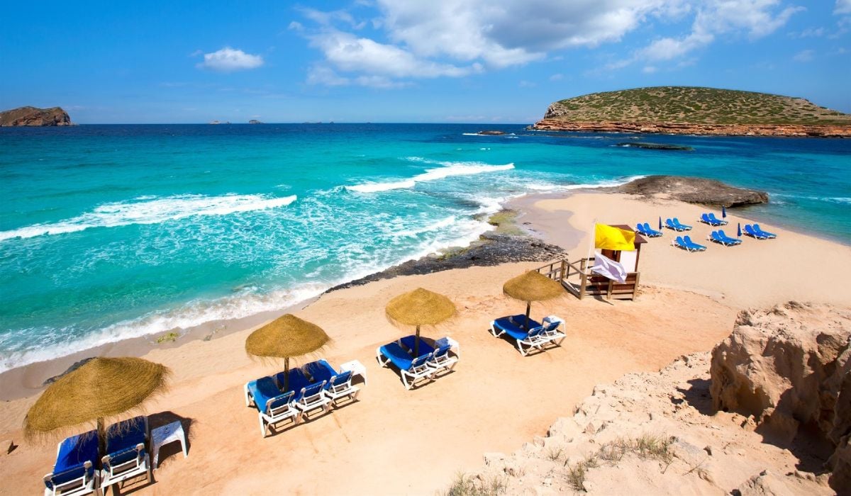 Creaturi de doi metri au invadat insula Ibiza și i-au îngrozit pe turiști