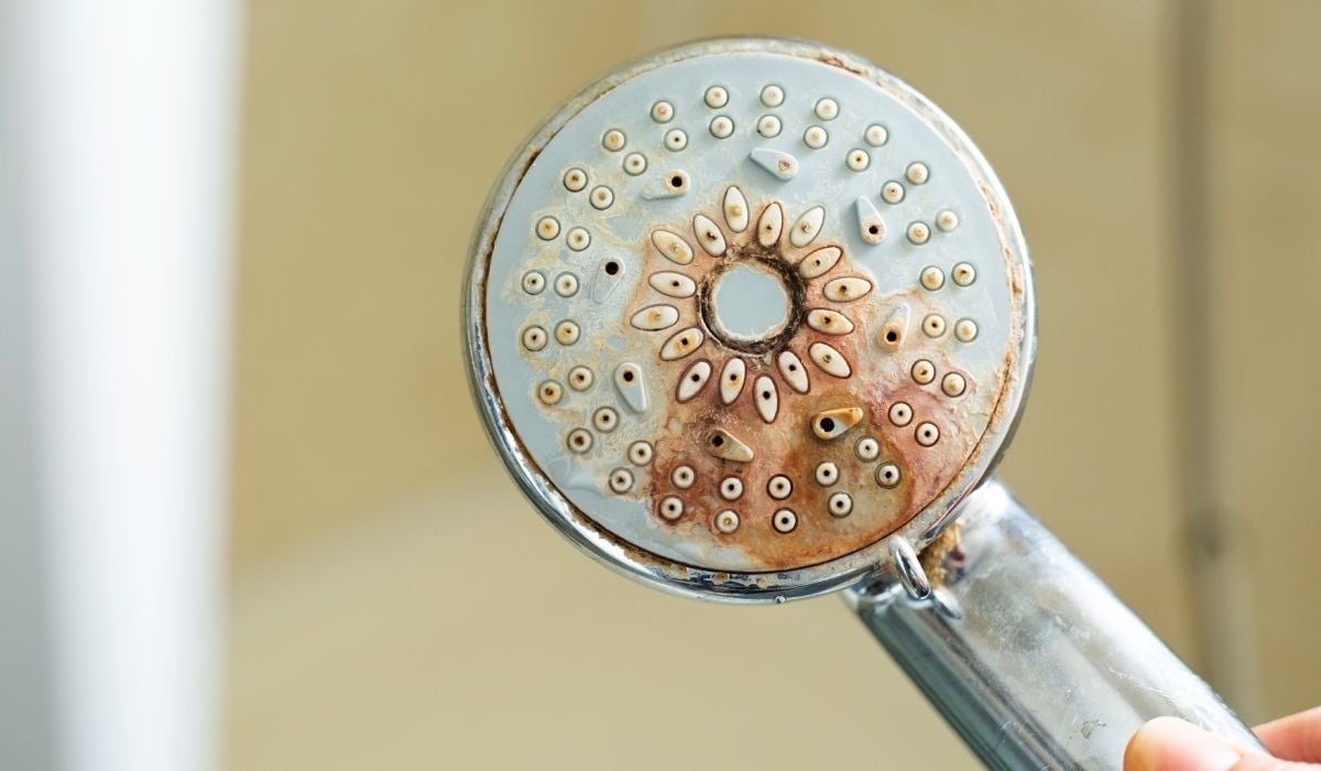 Metoda simplă și eficientă ca să cureți dușul, scurgerea și cum să scapi de mucegai